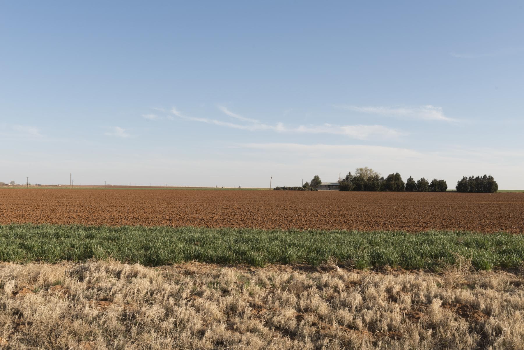 A broad cultivated field beneath an open sky west of Lamesa, with a farmhouse and trees on the horizon.