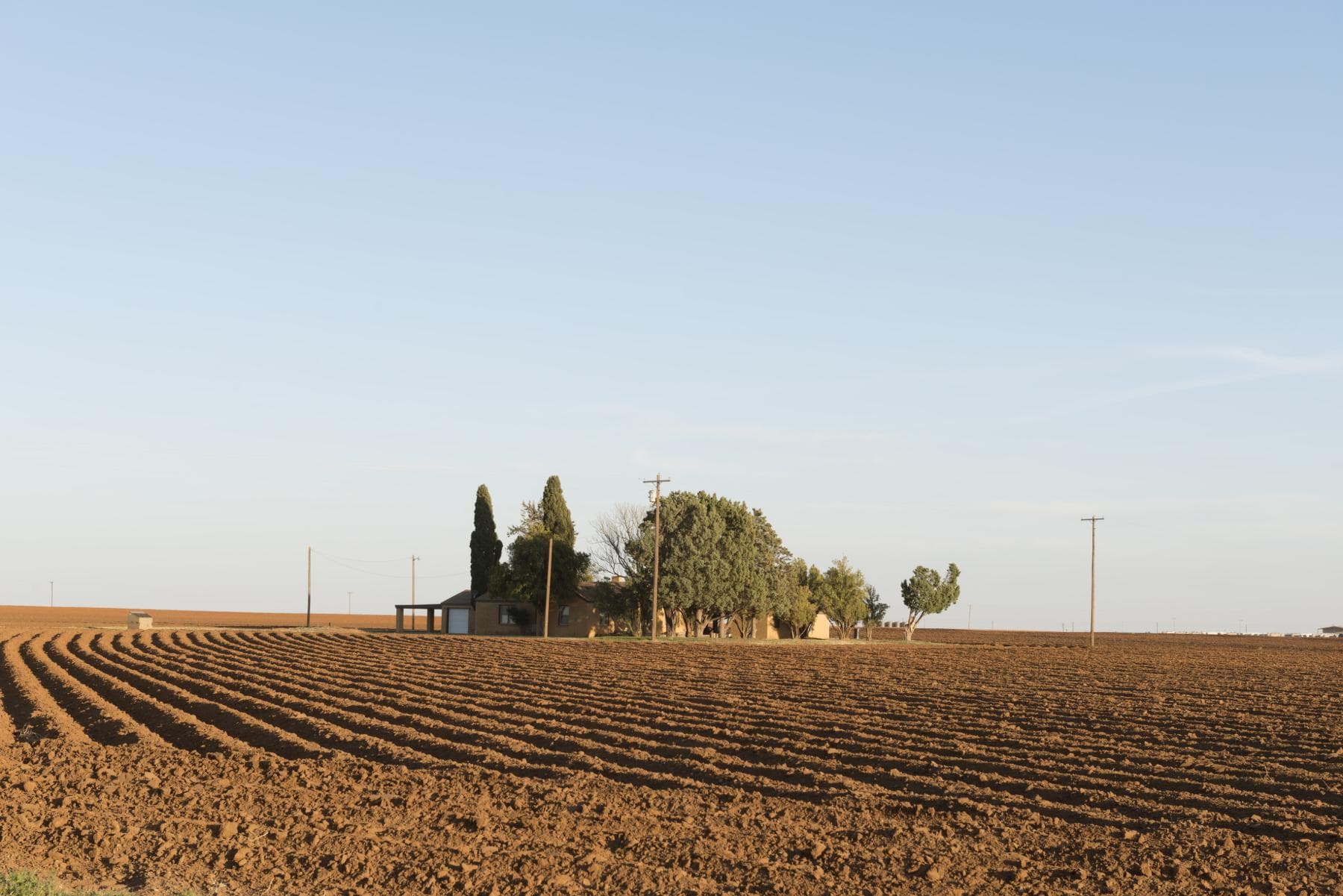 Curving furrows cross a field east of Lamesa toward a farmhouse and a low, open horizon.